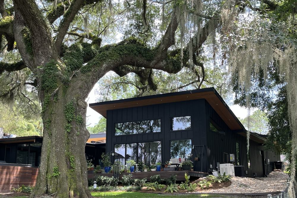 Modern black accessory dwelling unit set under a live oak tree